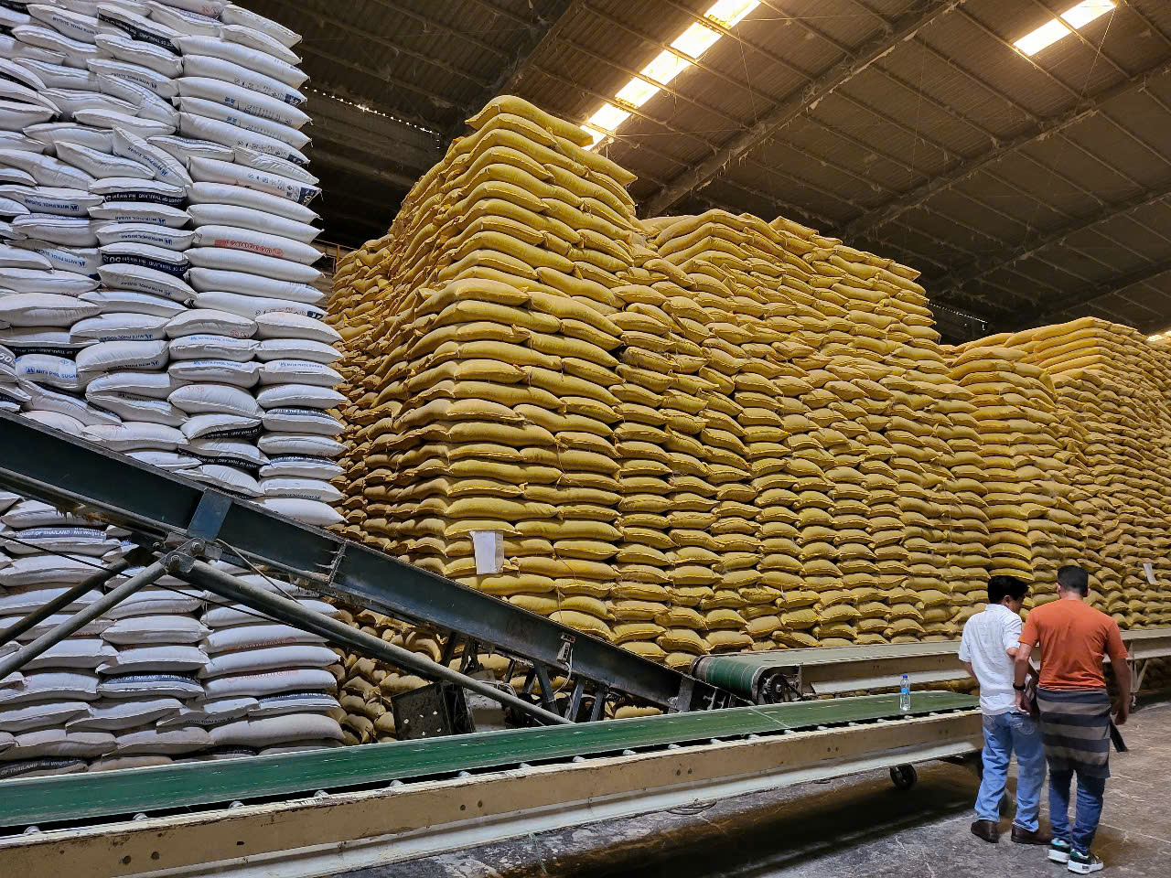 z7232806474143_52b294793a4b6d0a02b0f44b5384e739